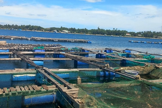 Bảo vệ môi trường ở Quảng Nam và trách nhiệm của người sản xuất, doanh nghiệp