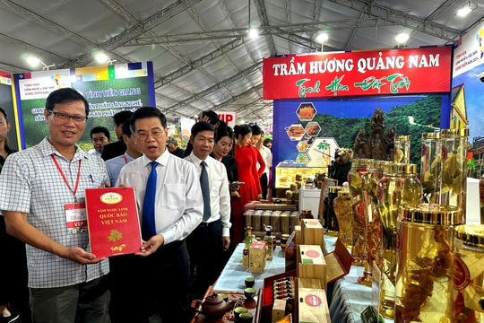 Cơ sở sản xuất Quảng Nam xúc tiến thương mại ở Nghệ An