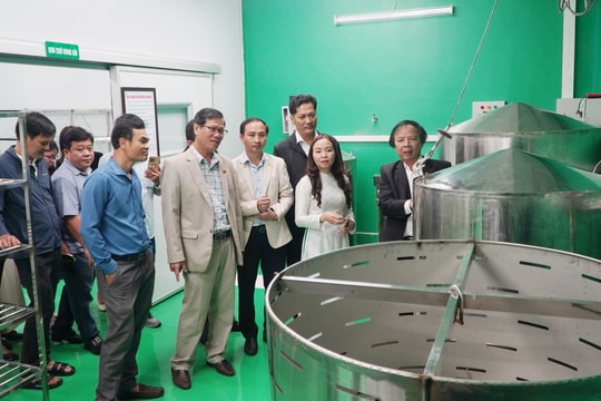 Chuẩn hóa quy trình sản xuất để xuất khẩu đặc sản Quảng Nam