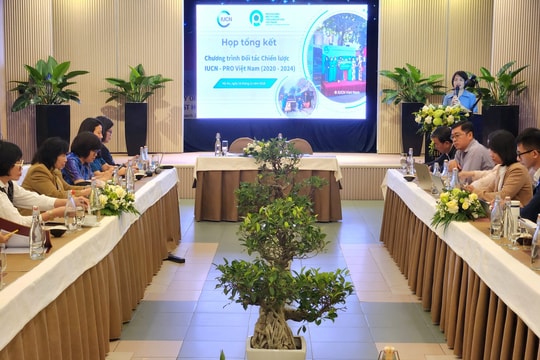 Thu phí rác thải nhựa: Từ thí điểm đến triển vọng nhân rộng