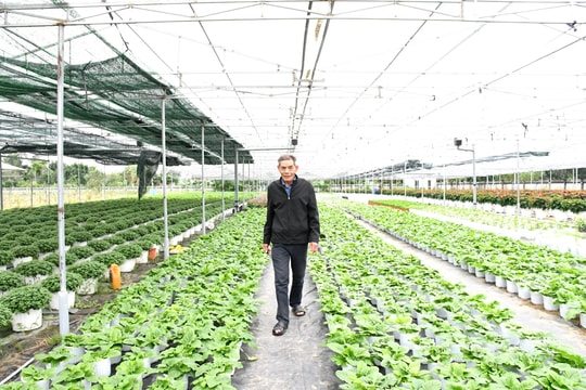 Tín dụng chính sách giúp cựu chiến binh phát triển kinh tế