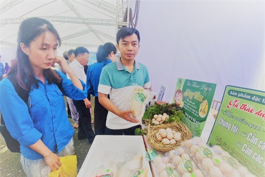 Mô hình nuôi gà bằng thảo dược của Hợp tác xã Đại Sơn