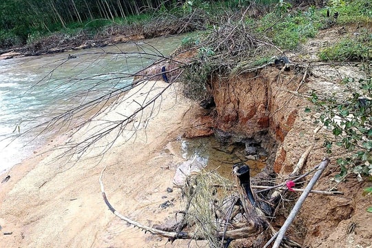 Đập thủy lợi Đồng Quảng ở Duy Xuyên bị sạt lở nặng