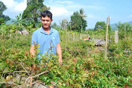 Đông Giang phát huy tín dụng chính sách xã hội