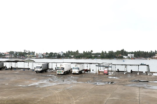 Thời tiết bất lợi, tàu cá Quảng Nam "nằm bờ" trong vụ cá bắc