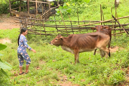 Hiệp Đức nỗ lực giảm tỷ lệ hộ nghèo