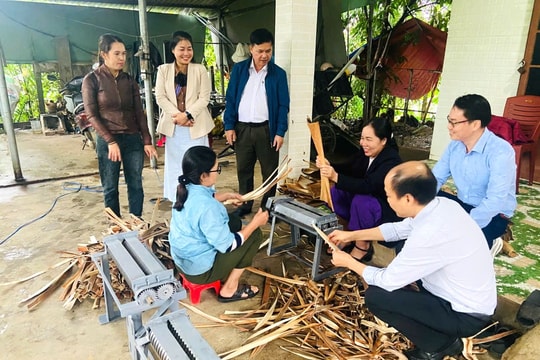 Hỗ trợ thiết bị, máy móc cho Hợp tác xã Cau xanh Đất Quảng