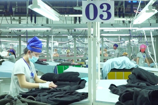 Tiêu chuẩn quốc tế về chuyển đổi xanh liên quan đến doanh nghiệp