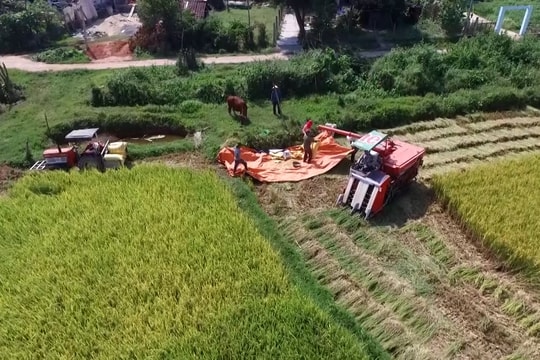 Nghị quyết 17 trợ sức cho nông nghiệp phát triển