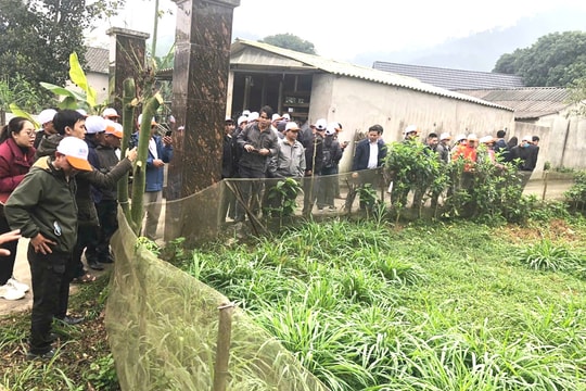 Đông Giang tham quan, học tập mô hình nuôi hươu sao tại Hà Tĩnh