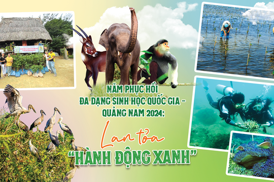 Năm phục hồi đa dạng sinh học quốc gia - Quảng Nam 2024: Lan tỏa "hành động xanh"