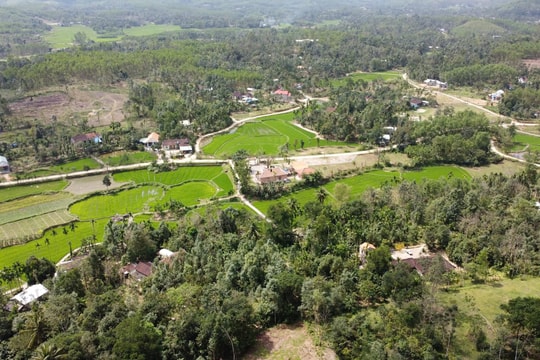 Tiên Phước tăng trưởng ấn tượng