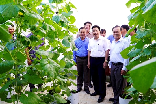 Giá trị sản xuất nông - lâm nghiệp, thủy sản Quảng Nam năm 2024 ước đạt hơn 16,2 nghìn tỷ đồng