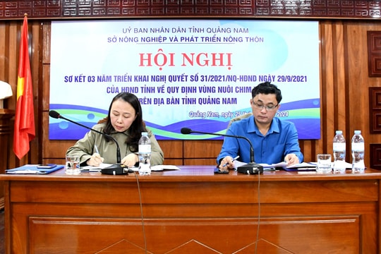 Quảng Nam có 471 nhà nuôi chim yến