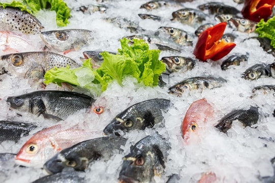 Tầm quan trọng của hóa chất trong ngành thủy sản Việt Nam