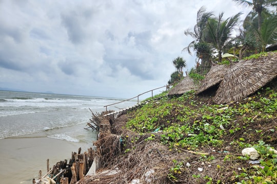 Công bố tình huống khẩn cấp về sạt lở tại bờ biển Cẩm An