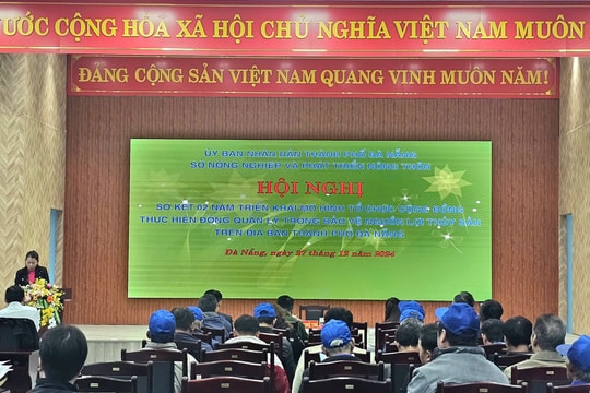 Hiệu quả từ mô hình về bảo vệ nguồn lợi thủy sản từ các tổ chức cộng đồng thực hiện đồng quản lý