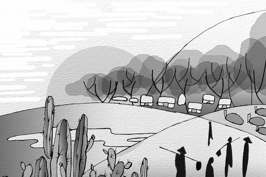 Mùa xương rồng ra trái