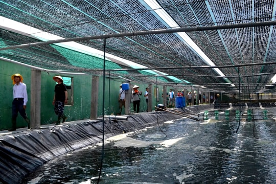 Nuôi trồng thủy sản năm 2025 bắt đầu từ tháng 1