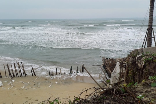 Bờ biển Cẩm An tiêu điều vì sóng lớn xâm thực