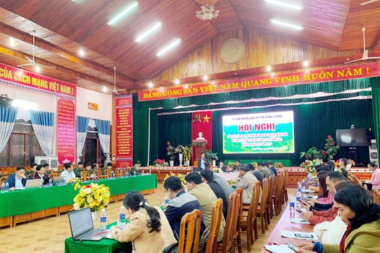 Đông Giang trồng mới hơn 470ha rừng gỗ lớn