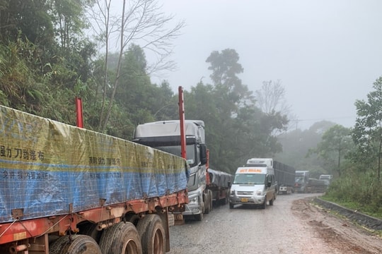 Chuẩn bị đầu tư dự án cải tạo, nâng cấp quốc lộ 14D