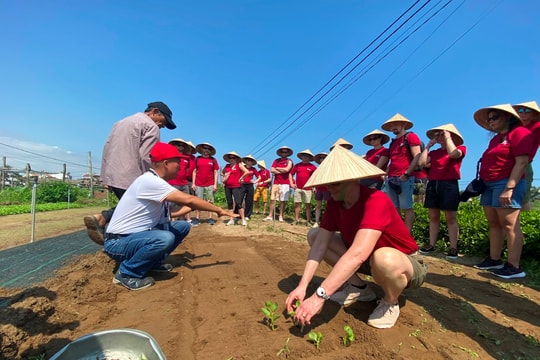 Kết nối và lan tỏa