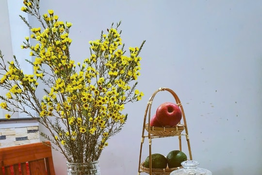 Mặn mòi thịt heo dầm nước mắm