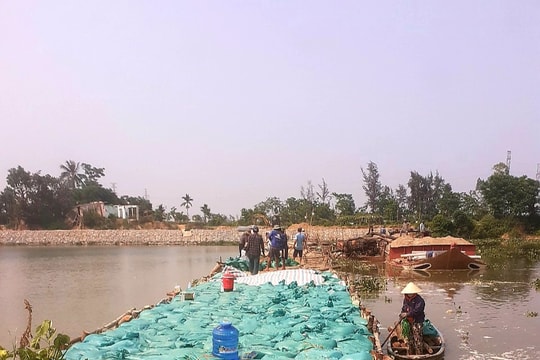 Quảng Nam chủ động ứng phó hạn hán, xâm nhập mặn