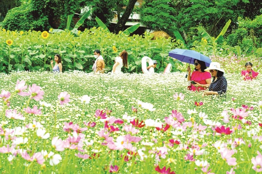 Kể chuyện từ chuyến du xuân