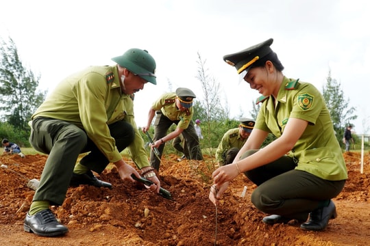 Quảng Nam phấn đấu trồng hơn 11 triệu cây xanh năm 2025