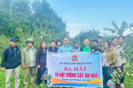 Tổ hội trồng cây ăn quả ở thôn Hòa Khê