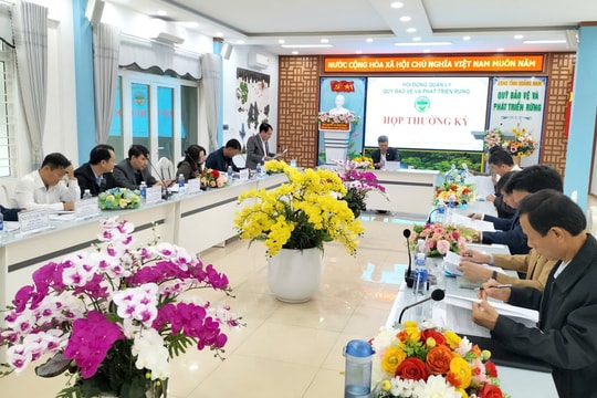 Quảng Nam thu hơn 180 tỷ đồng tiền dịch vụ môi trường rừng năm 2024