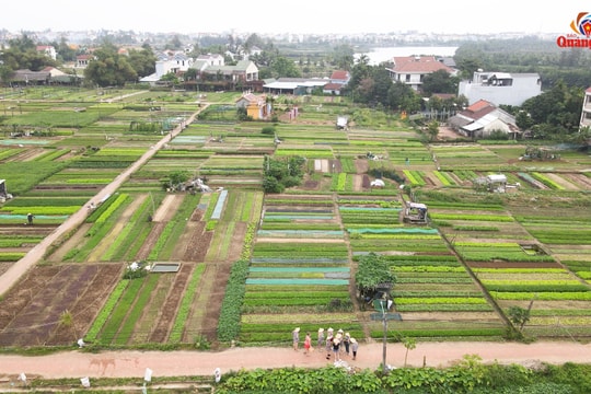 Phát triển du lịch nông thôn xứ Quảng