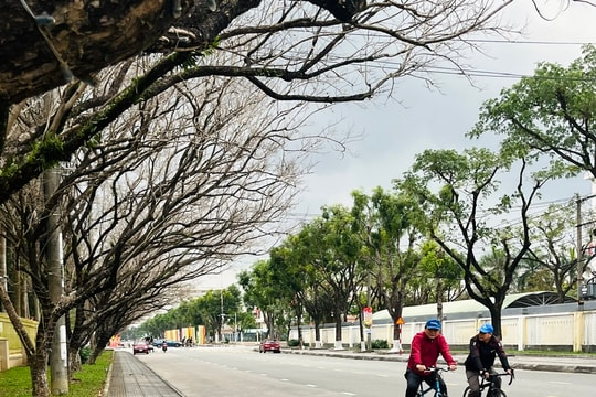 Bệnh viện Đa khoa Quảng Nam cảnh báo nguy cơ trẻ hóa độ tuổi nhồi máu cơ tim