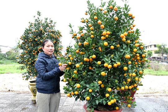 Tín dụng chính sách góp phần tạo động lực phát triển Quảng Nam