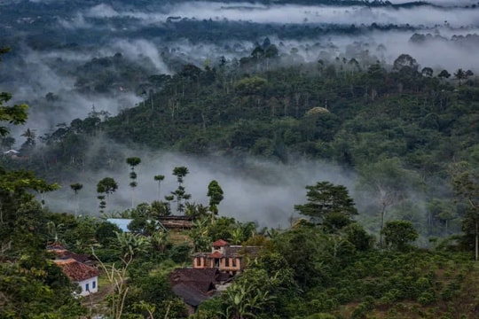 Indonesia bán tín chỉ các bon cho khách hàng quốc tế