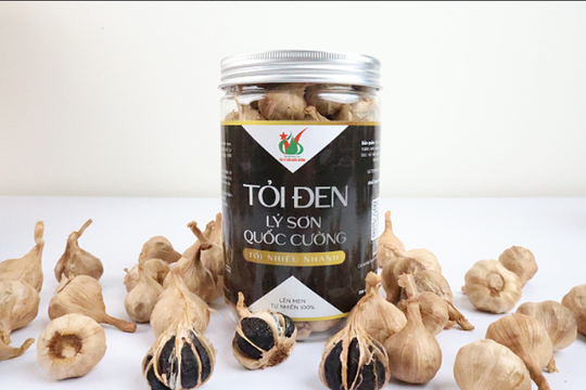 Tỏi Lý Sơn Quốc Cường: Nguồn gốc Lý Sơn, chất lượng hàng đầu