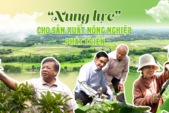 “Xung lực” cho sản xuất nông nghiệp phát triển
