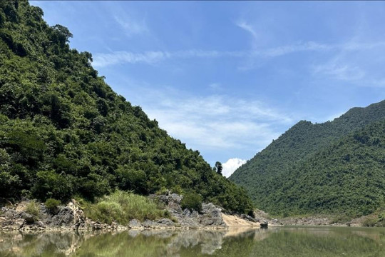 Linh sơn gởi bóng