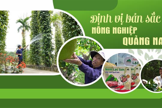 [eMagazine] - Định vị bản sắc nông nghiệp Quảng Nam