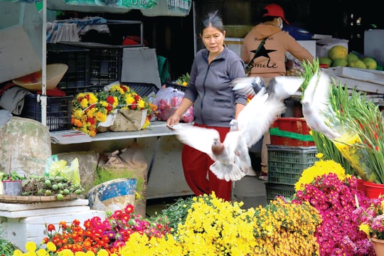 Về thương quê kiểng