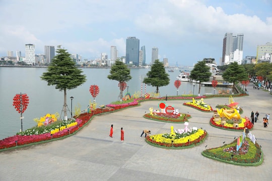 Đường hoa xuân Đà Nẵng trình làng