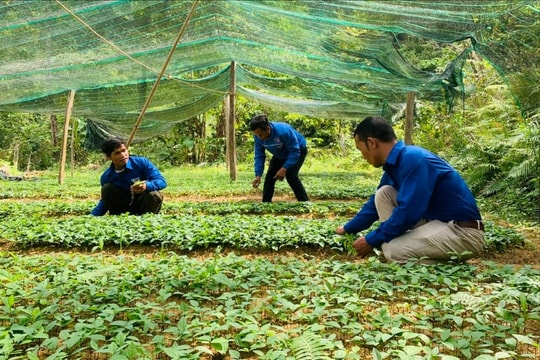Bệ đỡ từ các chương trình mục tiêu