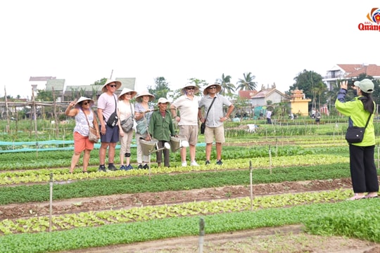 Sắc xuân ở làng rau Trà Quế