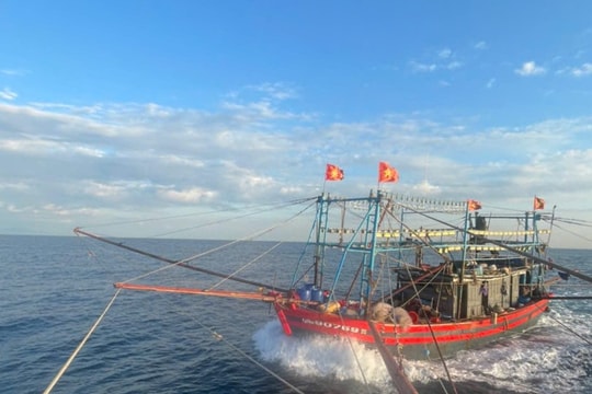 Ngư dân Núi Thành đoàn viên cùng gia đình đón tết