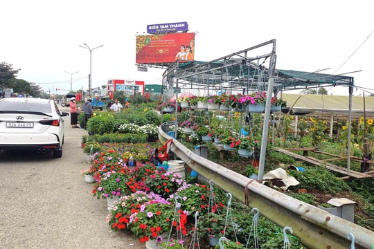 Tiểu thương đồng loạt xả hàng hoa tết cứu vốn