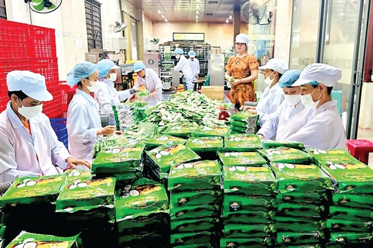 Động lực thúc đẩy phát triển kinh tế nông thôn