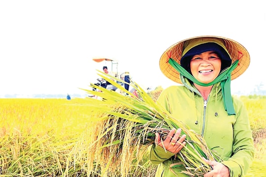 Nghe đất chuyển mình