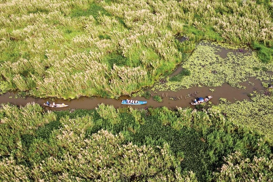 Cộng sinh từ Sông Đầm